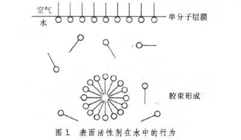 在众多的洗涤行业中,选择合适的洗涤原料至关重要。本篇文章将深入解析常见洗涤原料的特点、应用场景及其优缺点,帮助你更好地理解并选择适合自己的产品。
